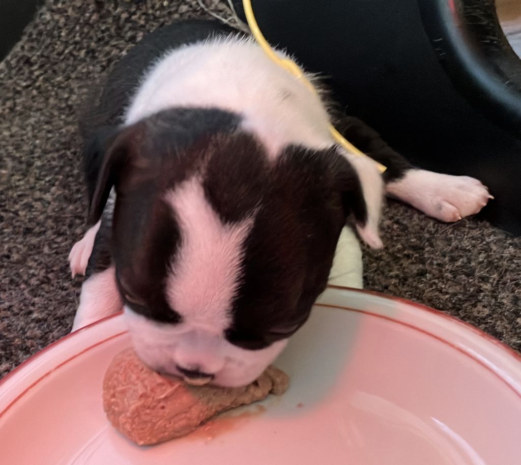 Des vidéos du premier repas des filles de Shirley